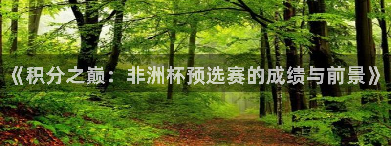 2026世界杯亚洲预选赛赛程：《积分之巅：非洲杯预选赛的成绩与前景》