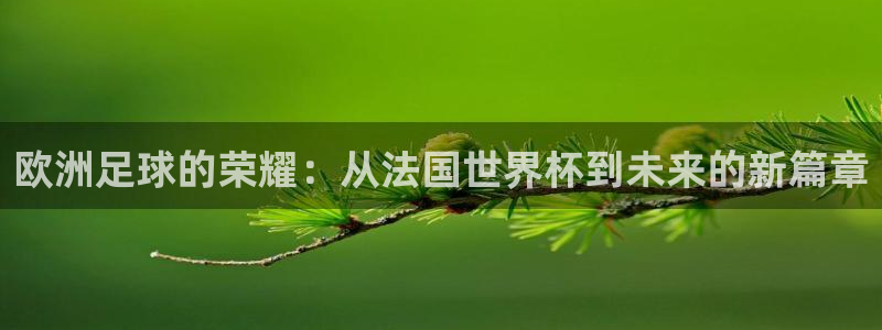 免费足球比赛直播高清：欧洲足球的荣耀：从法国世界杯到未来的新篇章