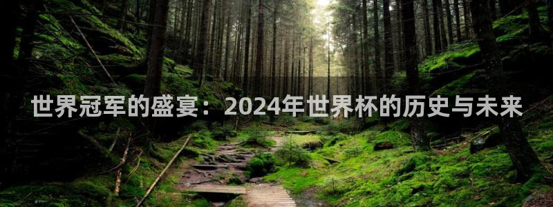 美国世界杯：世界冠军的盛宴：2024年世界杯的历史与未来