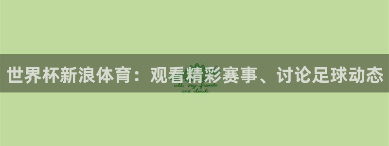 2026年世界杯：世界杯新浪体育：观看精彩赛事、讨论足球动态