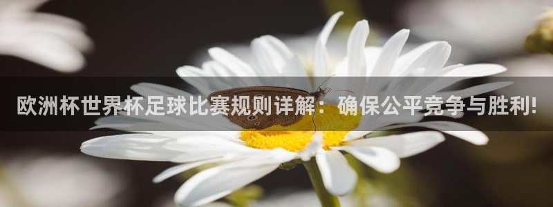 世界杯亚洲预选赛18强赛程：欧洲杯世界杯足球比赛规则详解：确保公平竞争与胜利!