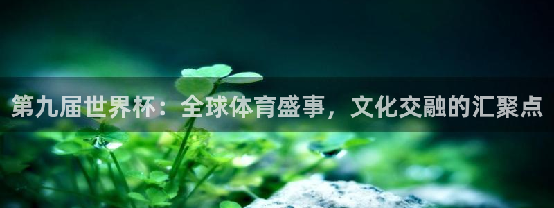 女足世界杯直播在线观看免费高清：第九届世界杯：全球体育盛事，文化交融的汇聚点