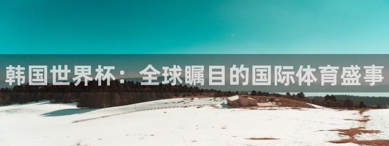 世界杯亚洲区预选赛积分榜：韩国世界杯：全球瞩目的国际体育盛事