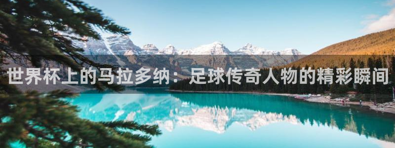 美洲杯直播：世界杯上的马拉多纳：足球传奇人物的精彩瞬间