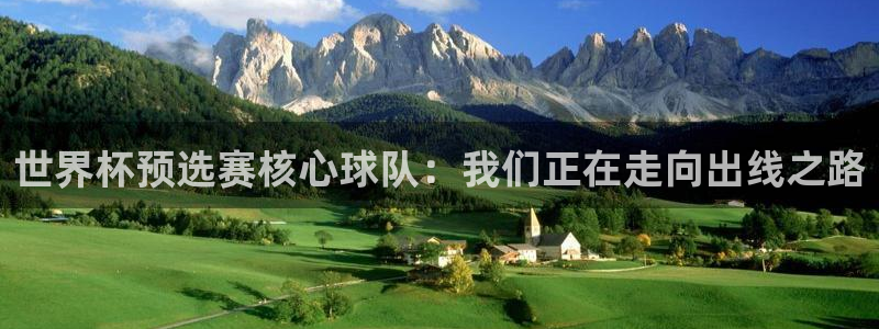 世界杯预选赛2026：世界杯预选赛核心球队：我们正在走向出线之路