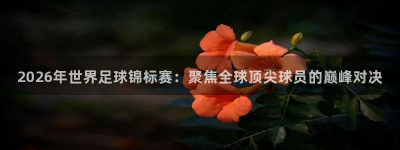世界杯预选赛规则：2026年世界足球锦标赛：聚焦全球顶尖球员的巅峰对决