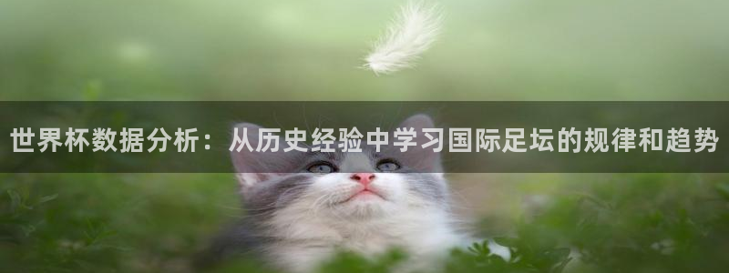 世界杯官网入口：世界杯数据分析：从历史经验中学习国际足坛的规律和趋势