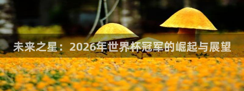 世界杯足球赛2026：未来之星：2026年世界杯冠军的崛起与展望