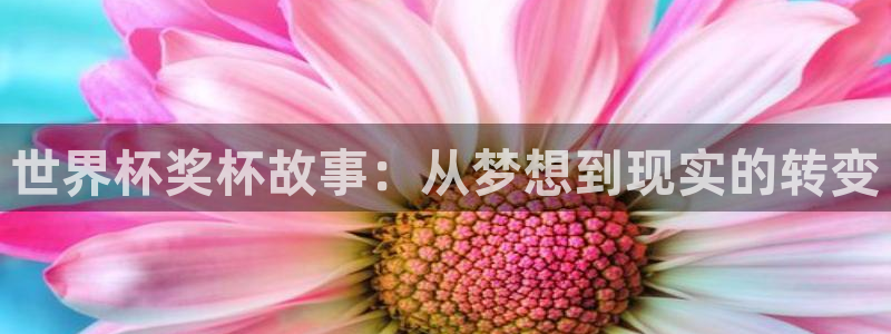 2026世界杯倒计时：世界杯奖杯故事：从梦想到现实的转变