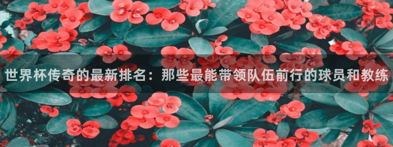 2026男足世界杯：世界杯传奇的最新排名：那些最能带领队伍前行的球员和教练