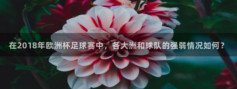 世界杯欧洲预选赛赛程：在2018年欧洲杯足球赛中，各大洲和球队的强弱情况如何？